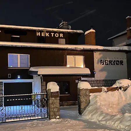 住宿加早餐酒店 Hektor