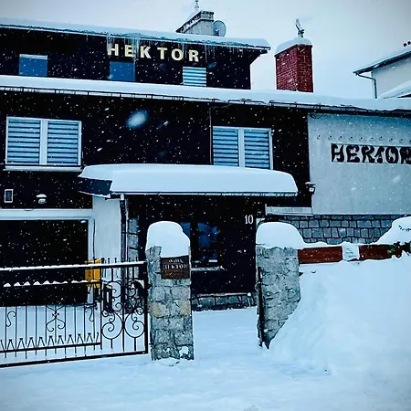 Hektor Szklarska Poreba