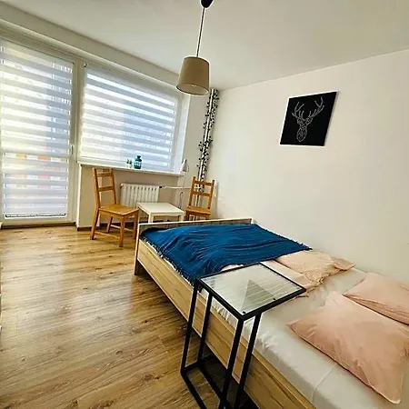 Frühstückspension Hektor 3*